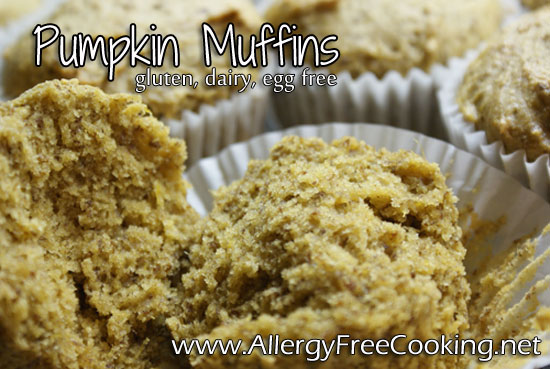 Pumkin Muffins, egg, dairy, soy, nut, and gluten free.