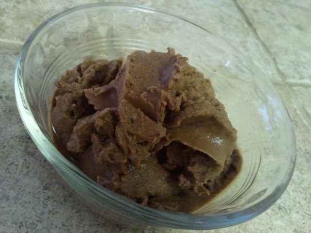 Chocolate Ice Cream {Dairy, Egg and Soy Free}